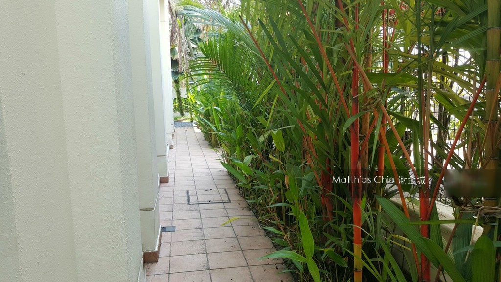 Kingsville (D10), Semi-Detached #130021192